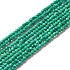 Natural Howlite Beads Strands G-C025-02A-02-1
