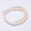 Natural Cultured Freshwater Pearl Beads Strands PEAR-P002-55-01-2