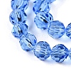 Transparent Glass Beads Strands EGLA-A035-T3mm-D14-3
