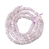 Natural Kunzite Beads Strands G-A293-A01-01-3