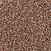MIYUKI Delica Beads SEED-MY11-DB1221-3