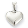 304 Stainless Steel Pendants LS-STAS-P278-01D-P-2
