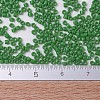 MIYUKI Delica Beads X-SEED-J020-DB0724-4