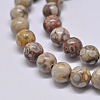 Natural Maifanite/Maifan Stone Beads Strands G-F353-6mm-3