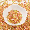 Baking Paint Glass Seed Beads SEED-S042-05B-44-2