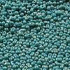 Glass Seed Beads SEED-K009-09A-02-3