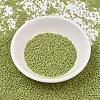 MIYUKI Delica Beads SEED-J020-DB2290-2
