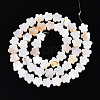 Natural Freshwater Shell Beads Strands SHEL-S276-111A-2
