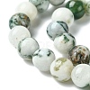 Natural Tree Agate Beads Strands X-G-K194-8mm-02-5