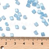 Glass Seed Beads X1-SEED-H002-D-A811-4