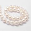 Shell Pearl Bead Strands BSHE-L026-03-14mm-2