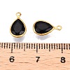 K9 Glass Charms GLAA-T023-10F-3