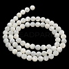 Natural Sea Shell Beads Strands SSHEL-K013-6mm-A-3