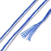 10 Skeins 6-Ply Polyester Embroidery Floss OCOR-K006-A21-3