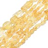 Raw Rough Natural Citrine Beads Strands G-I279-B17-1