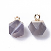Natural Grey Agate Charms G-S359-015D-2