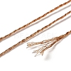 10 Skeins 12-Ply Metallic Polyester Embroidery Floss OCOR-Q057-A13-3