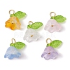 5Pcs 5 Color Glass Flower of Life Charms PALLOY-JF02301-01-1