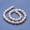 Natural Cultured Freshwater Pearl Beads Strands PEAR-P060-03B-01-2