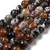 Faceted Natural Fire Crackle Agate Beads Strands G-F447-12mm-N14-2