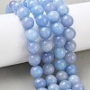 Dyed Natural Malaysia Jade Beads Strands G-G021-01D-07-5