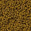 MIYUKI Round Rocailles Beads X-SEED-G008-RR4456-3