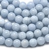 Natural Malaysia Jade Beads Strands G-L645-A01-10mm-16-4