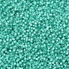 MIYUKI Delica Beads X-SEED-J020-DB0627-3