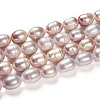 Natural Cultured Freshwater Pearl Beads Strands PEAR-R064-16-5
