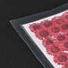 Centaurea Iberica Embossing Dried Flower DIY-K032-65K-4