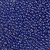 8/0 Czech Opaque Glass Seed Beads SEED-N004-003A-24-4