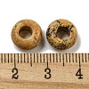Natural Picture Jasper Beads G-Q173-03A-13-3