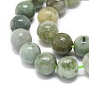Natural Myanmar Jade Beads Strands G-O201A-19A-3