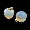 Opalite Teacher Apple Charms G-Z022-02A-G-2