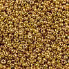 MIYUKI Round Rocailles Beads X-SEED-G008-RR4203-3