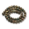 Tibetan Style dZi Beads Strands G-P526-D09-02-3