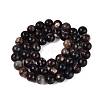 Natural Biotite Beads Strands G-Q616-01C-3