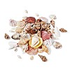 Mixed Shell Beads BSHE-TA0002-05-3
