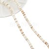 2 Strands Natural Freshwater Shell Beads Strands BSHE-NB0001-17-1