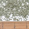MIYUKI Delica Beads X-SEED-J020-DB1170-4