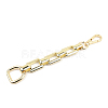 Alloy Purse Chains with D Clasps PURS-PW0007-06LG-1