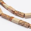 Natural Picture Jasper Beads Strands G-E342-04-3