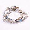 Natural Freshwater Shell Beads X-S00C20J8-3