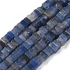 Natural Blue Aventurine Beads Strands G-A280-C08-01-3