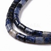 Natural Blue Spot Jasper Beads Strands G-G990-C12-4