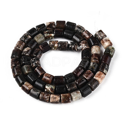Natural Biotite Beads Strands G-T141-88A-1