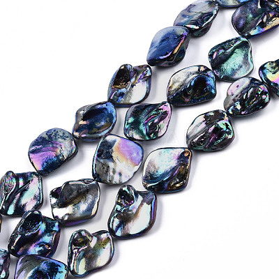 Freshwater Shell Beads Strands SHEL-N026-204-1