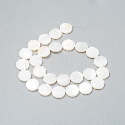 Natural Freshwater Shell Beads X-BSHE-I011-01B-02-1