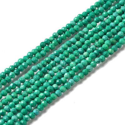 Natural Howlite Beads Strands G-C025-02A-02-1