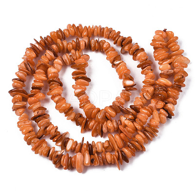 Natural Freshwater Shell Beads Strands SHEL-S278-071B-1